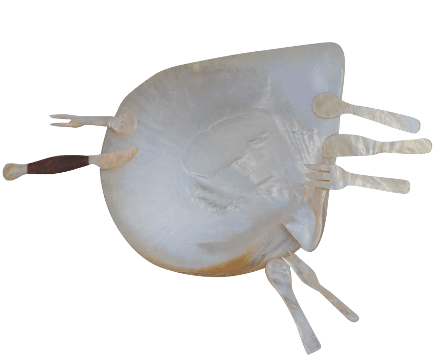 Australian Mother of Pearl Co. Pty Ltd